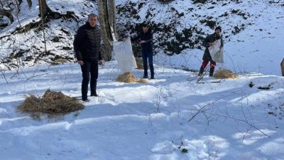 Kırklareli'nin Kocayazı köyünde, yoğun kar yağışı nedeniyle yiyecek bulmakta zorlanan